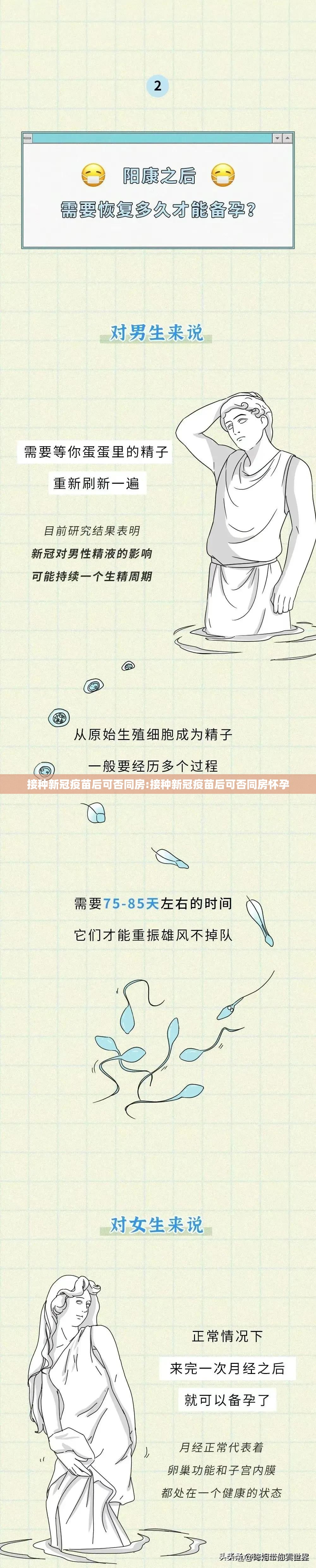 接种新冠疫苗后可否同房:接种新冠疫苗后可否同房怀孕