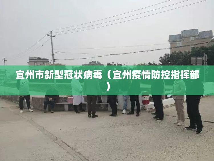 宜州市新型冠状病毒（宜州疫情防控指挥部）