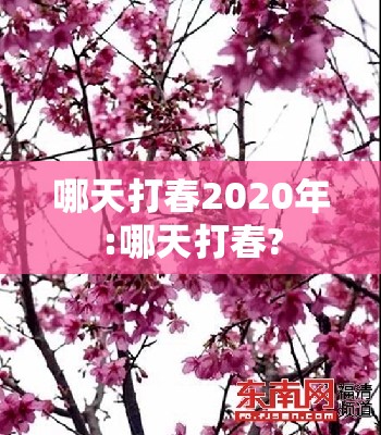 哪天打春2020年:哪天打春?
