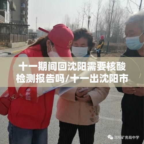 十一期间回沈阳需要核酸检测报告吗/十一出沈阳市需要检测吗