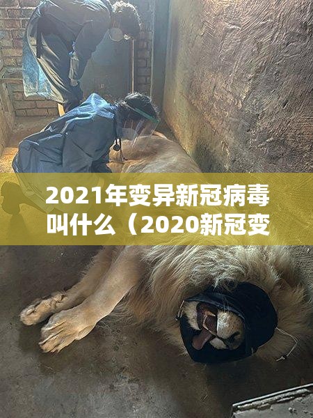 2021年变异新冠病毒叫什么（2020新冠变异）