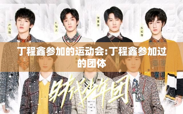 丁程鑫参加的运动会:丁程鑫参加过的团体