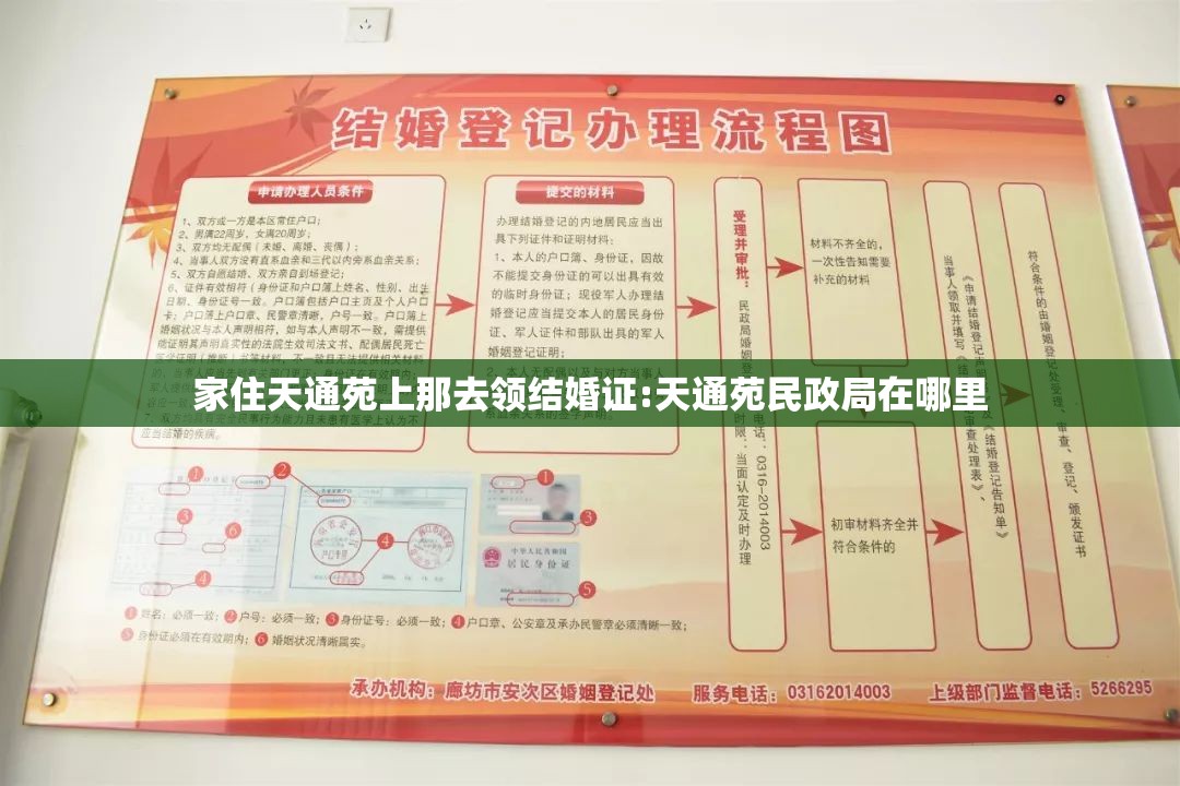 家住天通苑上那去领结婚证:天通苑民政局在哪里
