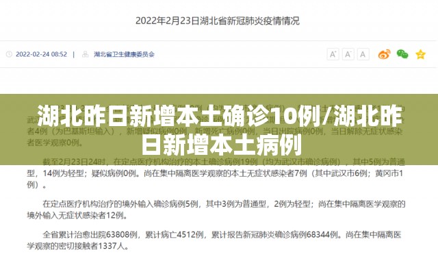 湖北昨日新增本土确诊10例/湖北昨日新增本土病例