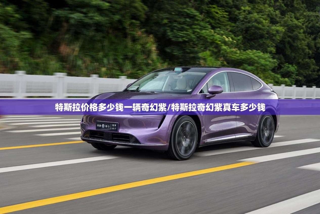 特斯拉价格多少钱一辆奇幻紫/特斯拉奇幻紫真车多少钱